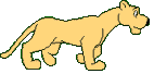 katte animerede-billeder-gif